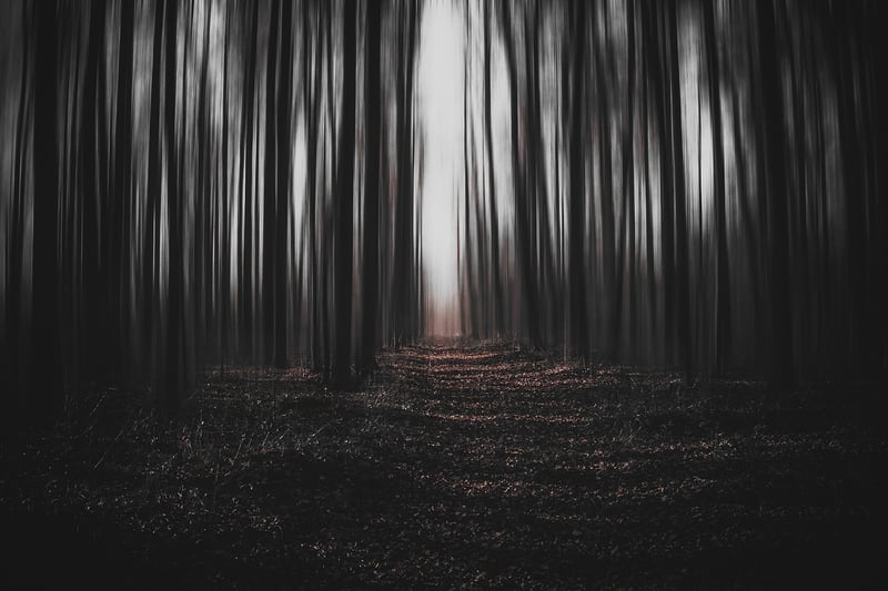 Magic Forest Clearings